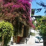 Small House