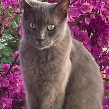 Small House 아파트 *