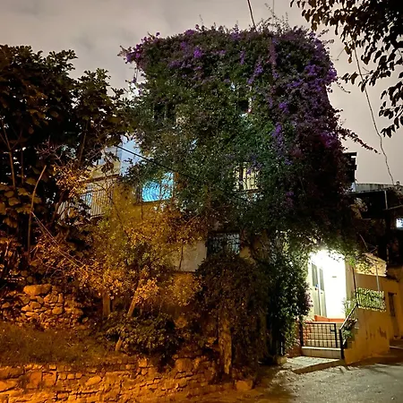 Apartamento Small House