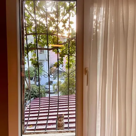 Small House 公寓 伊兹密尔