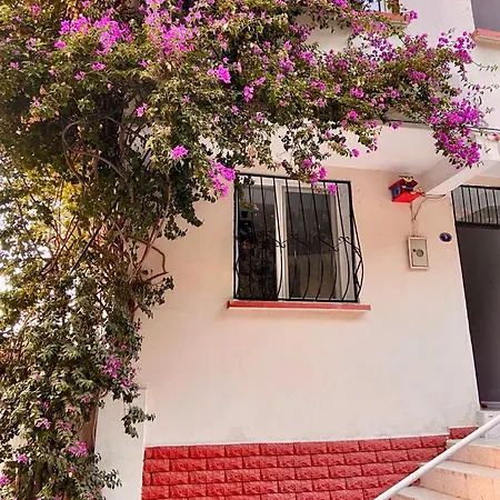 Small House Izmir