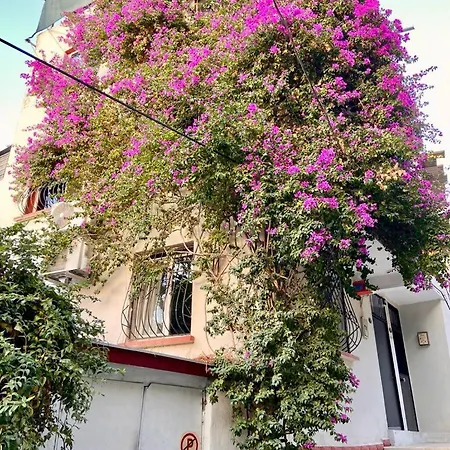 Small House Apartment