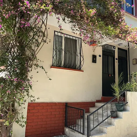 Small House Apartment