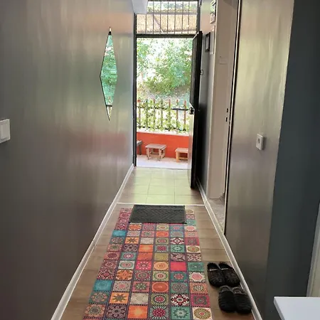 Apartment Small House